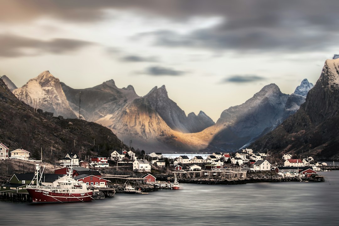 Coastal scenery along a road trip in Lofoten